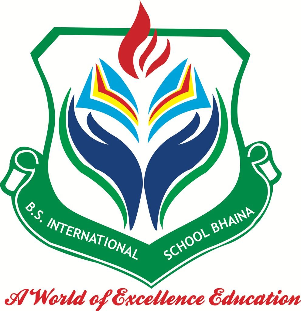 B. S. International School
